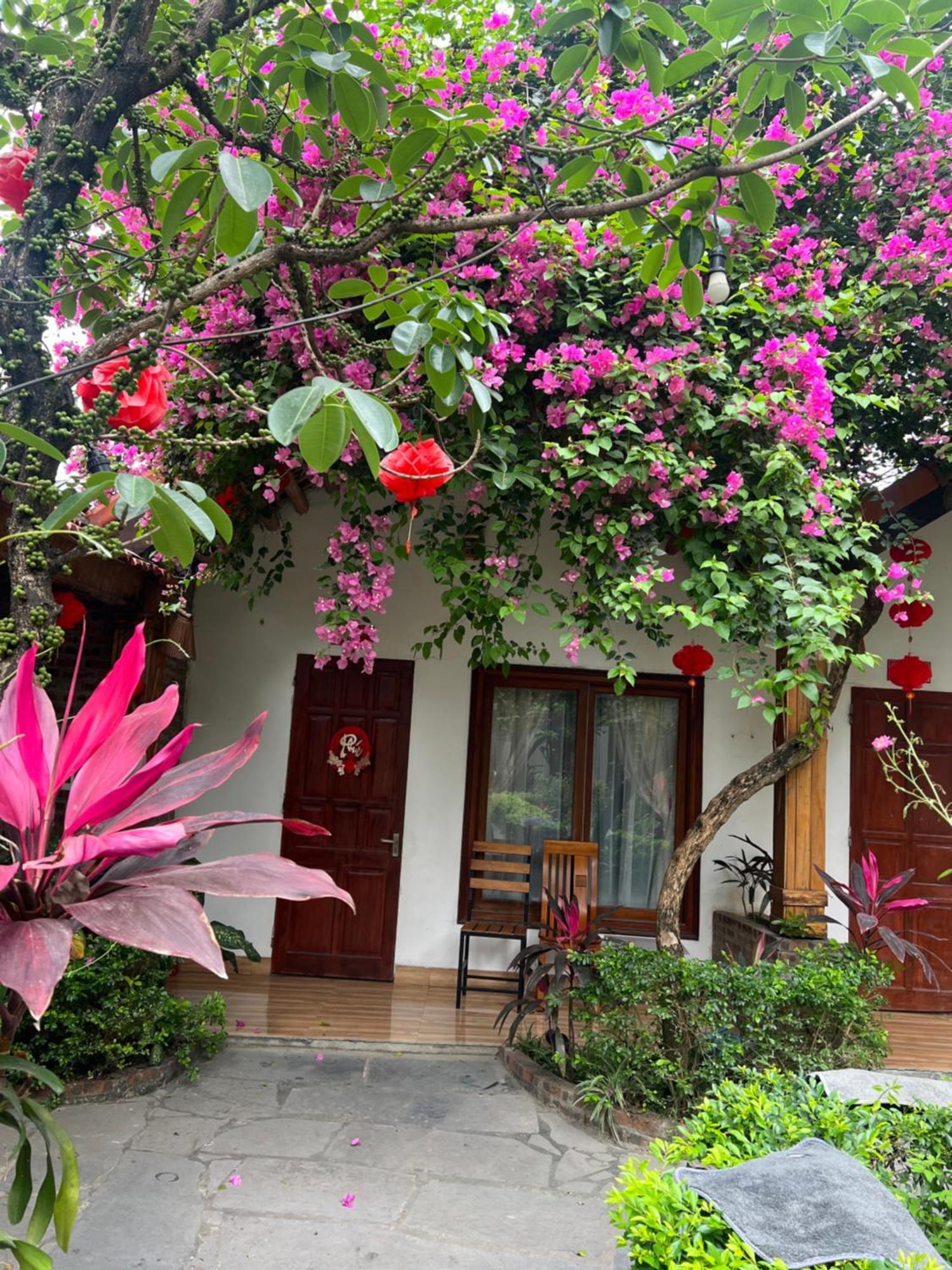Tam Coc Serene Bungalow Ninh Binh Luaran gambar